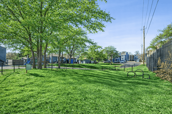 Dog park